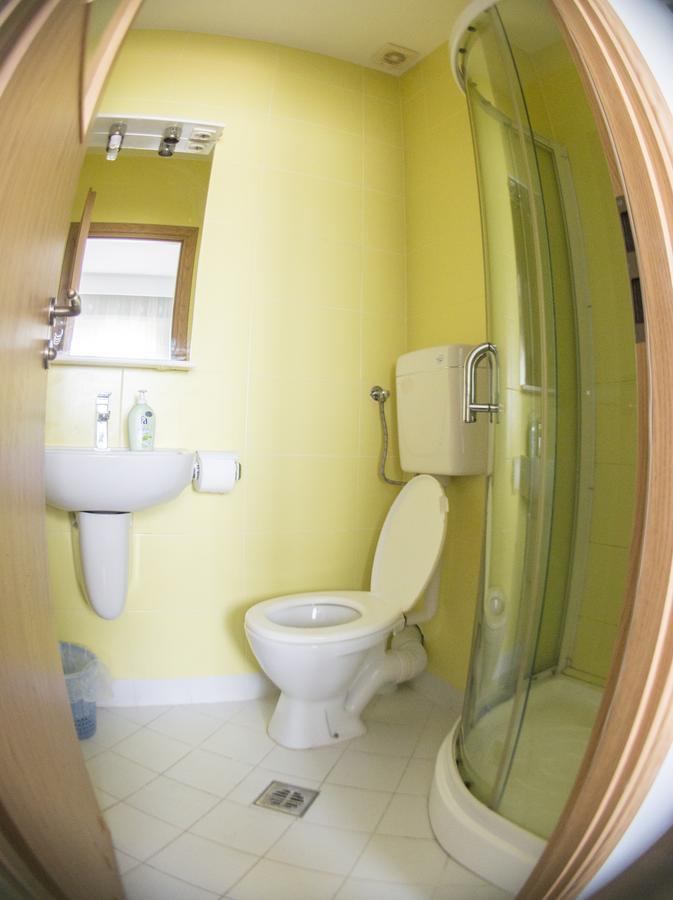 Guest house Raluca *