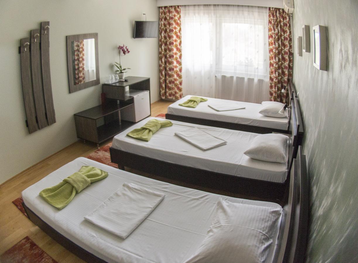 Guest house Raluca *